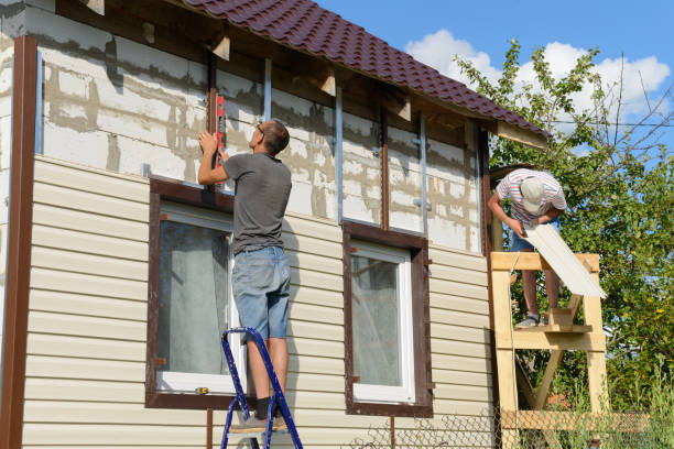 Best Siding Painting and Refinishing  in Ardia, CA